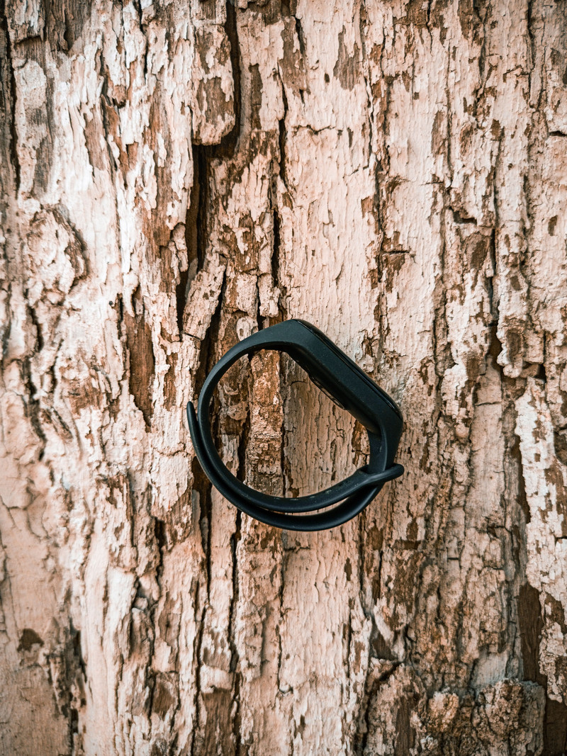 Stride Fitness Band