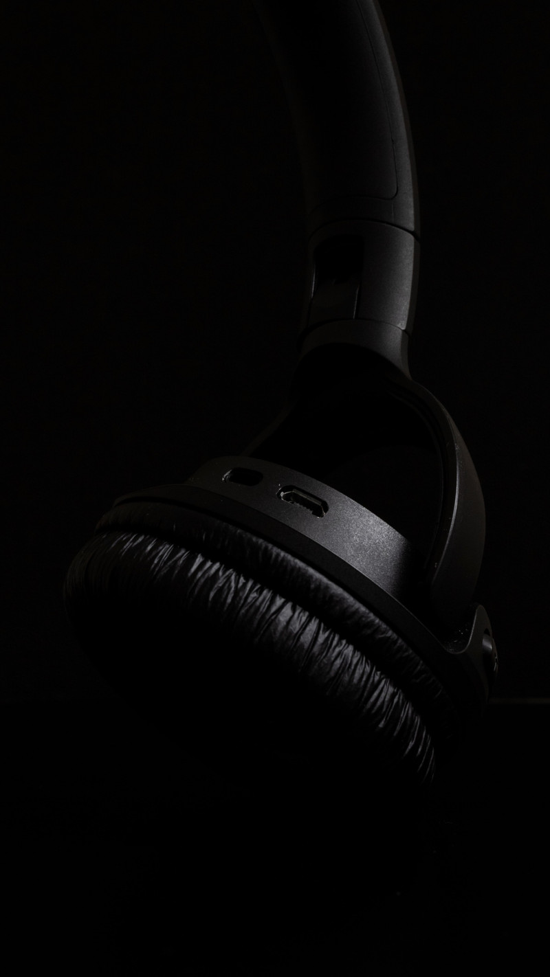 Pulse ANC Headphones