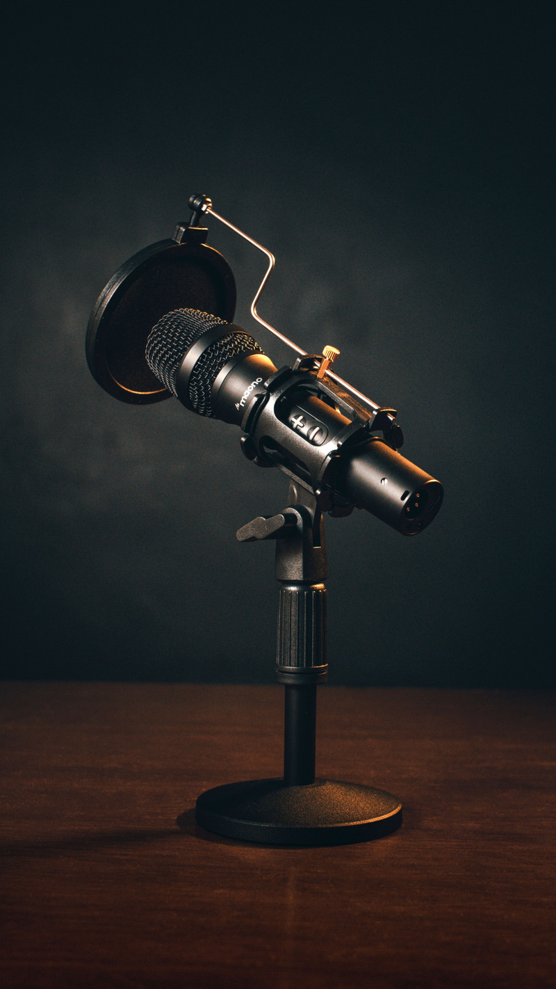 Podcast Dynamic Mic
