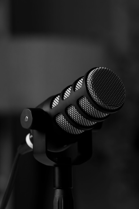 Podcast Dynamic Mic