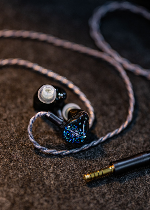 Reference In-Ear Monitors